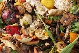 food waste for composting