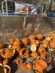 Great Pumpkin Smash A picture of collected pumpkins