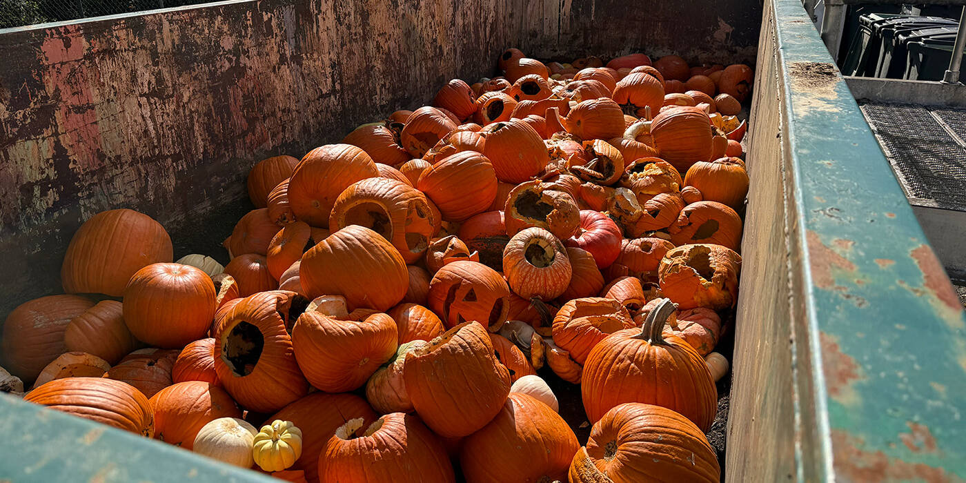 Recycling bin with pumpkins