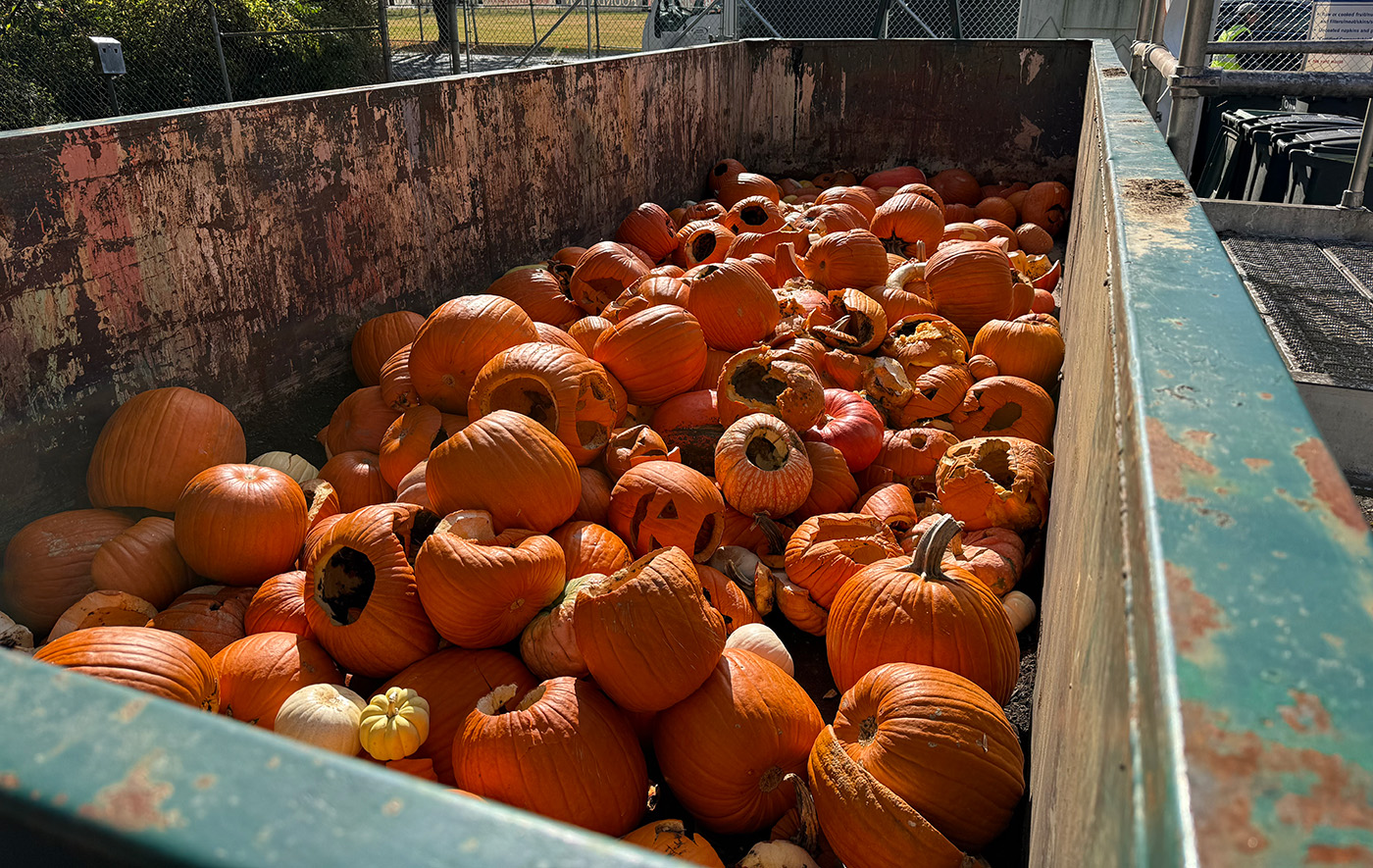 Recycling bin with pumpkins